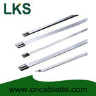 4.6*450mm 316/304/201 grade Ball-lock stainless steel cable ties