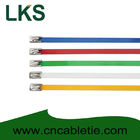 4.6*200mm 201,304,316 grade epoxy polyester coated Ball-lock stainless steel cable ties